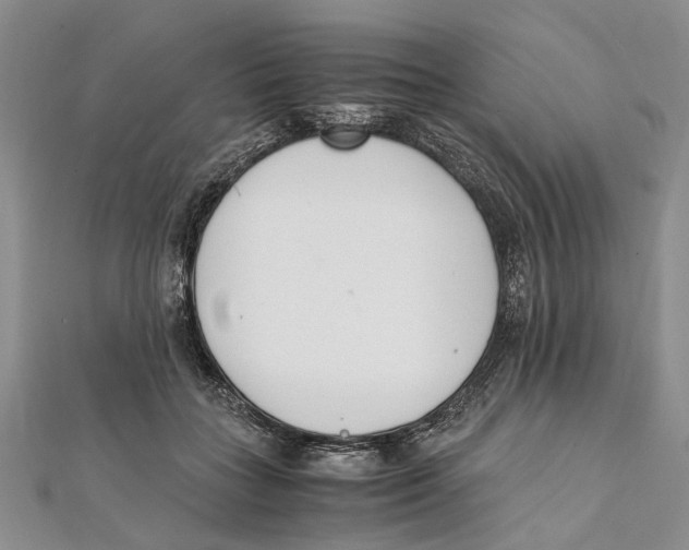 X0000111390555200908071258