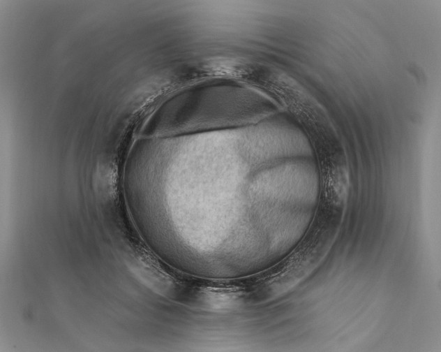 X0000111390556200908071258