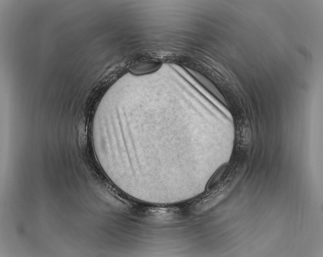 X0000111390558200908071258