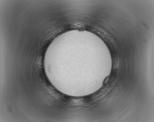 X0000111390560200908071258