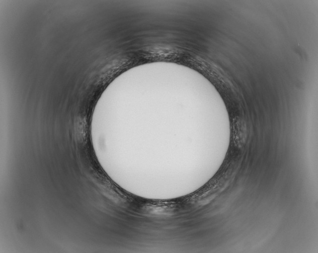 X0000111390563200908071258