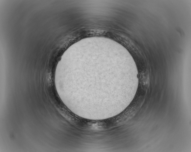 X0000111390564200908071258