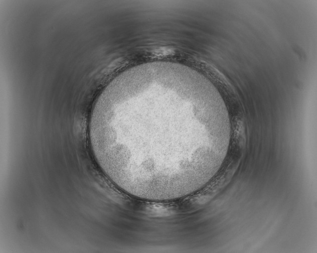 X0000111390565200908071258