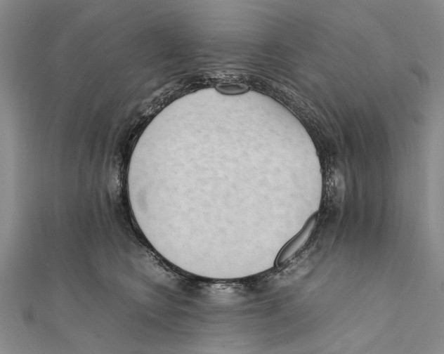 X0000111390566200908071258