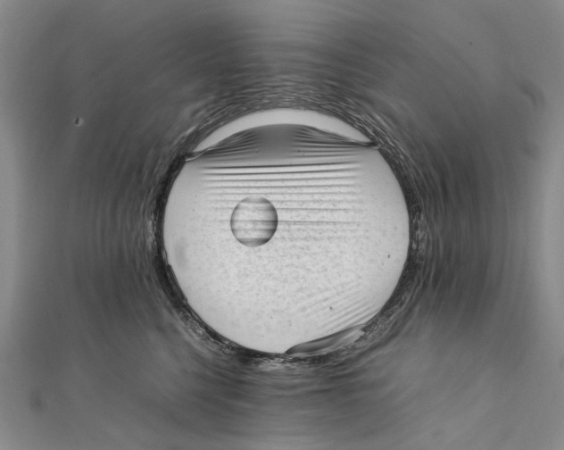 X0000111390568200908071258