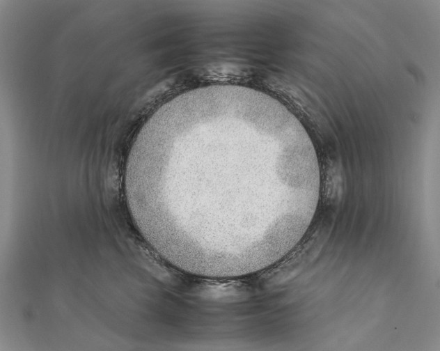 X0000111390569200908071258
