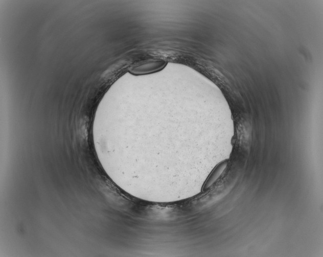 X0000111390570200908071258