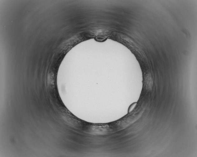 X0000111390571200908071258