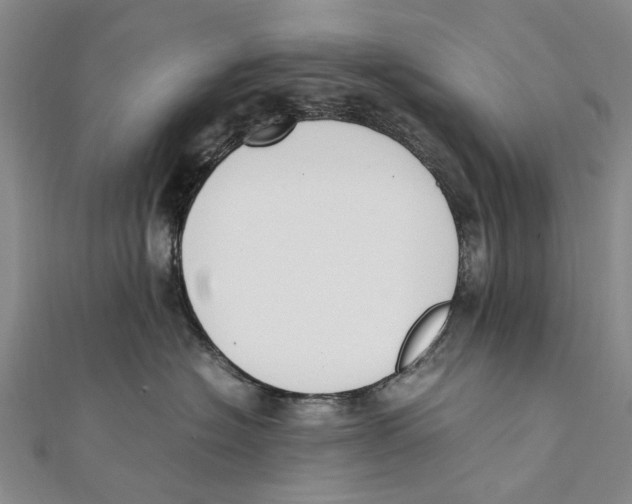 X0000111390574200908071258