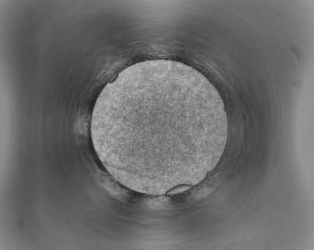 X0000111390576200908071258