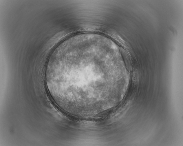 X0000111390577200908071257
