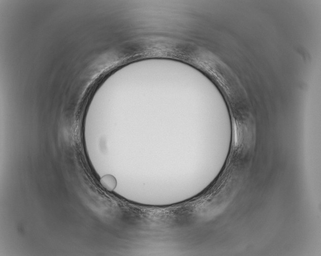 X0000111390579200908071257
