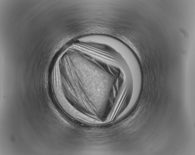 X0000111390581200908071257