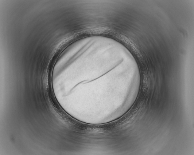 X0000111390582200908071257