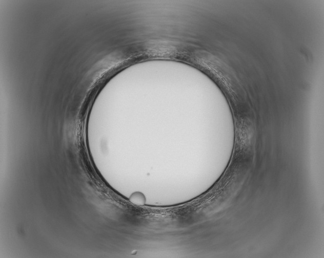 X0000111390583200908071257