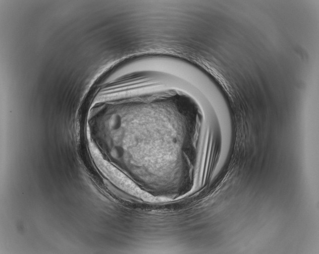 X0000111390584200908071257