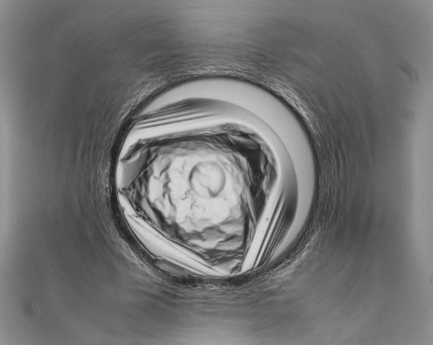X0000111390585200908071257