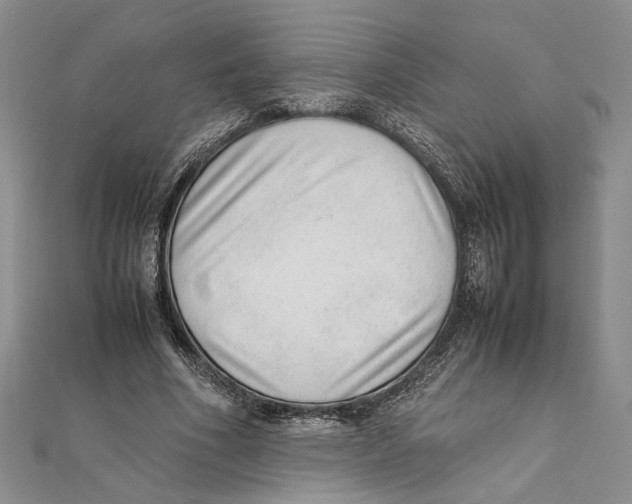 X0000111390586200908071257