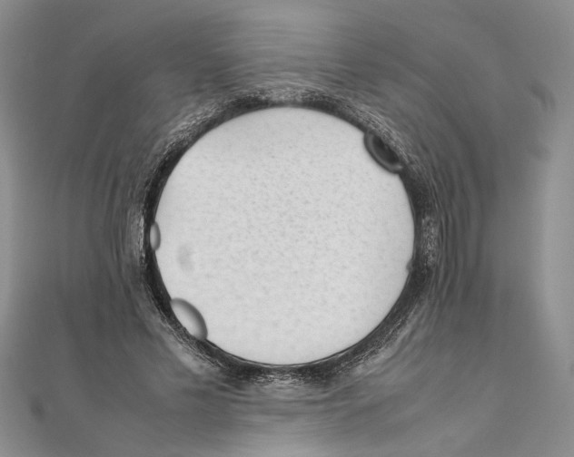 X0000111390589200908071257