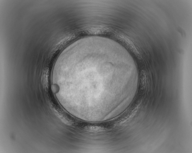 X0000111390590200908071257