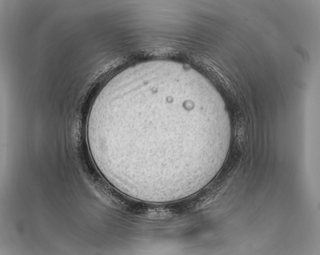 X0000111390591200908071257
