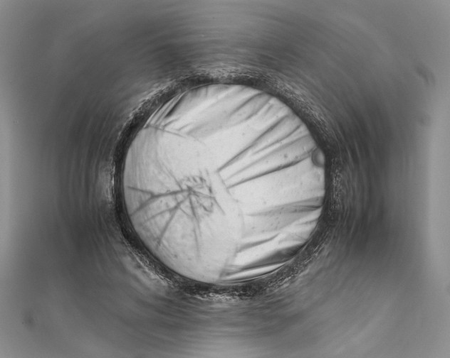 X0000111390592200908071257
