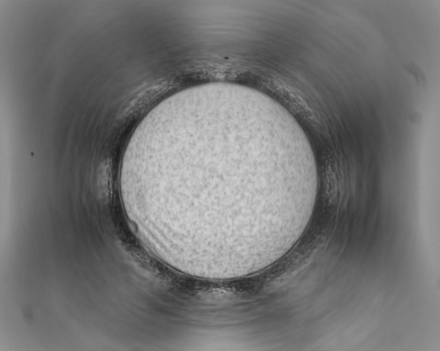 X0000111390594200908071257