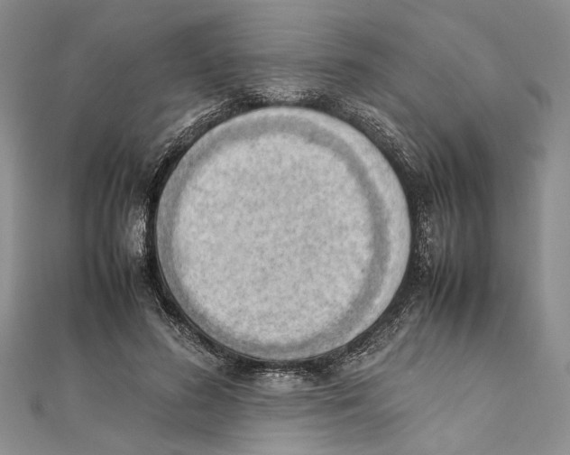 X0000111390596200908071257