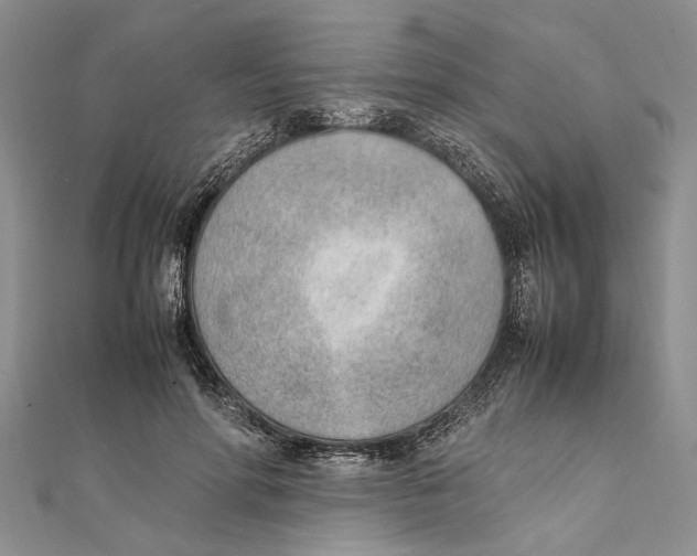 X0000111390598200908071257