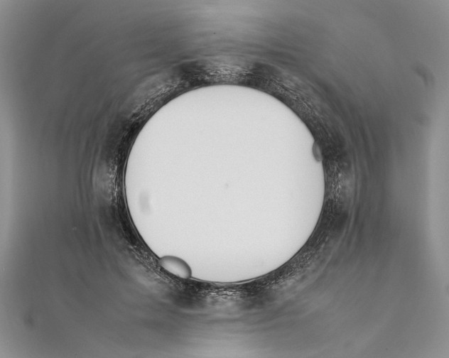 X0000111390599200908071257