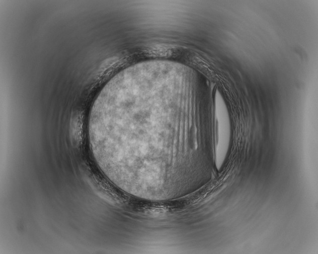 X0000111390600200908071257