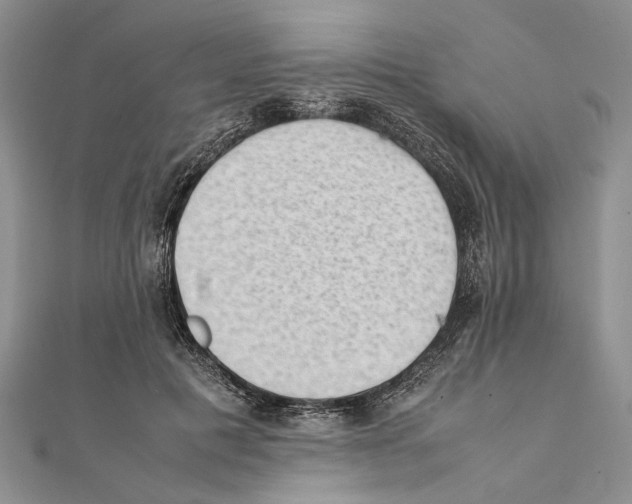 X0000111390601200908071257