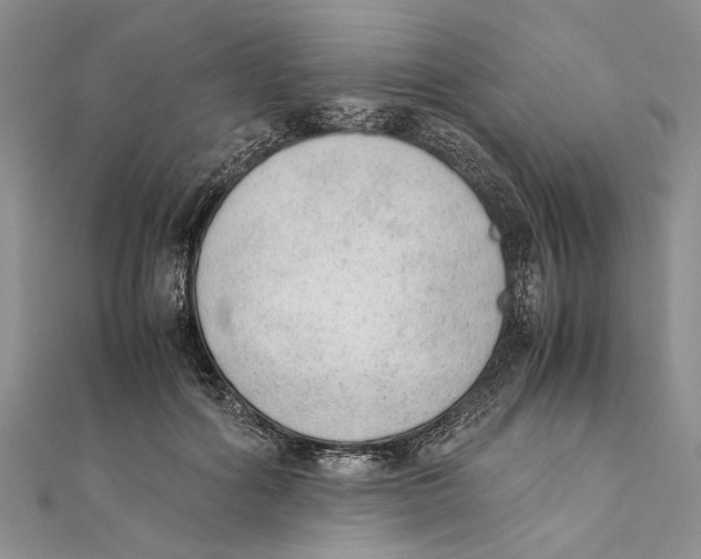 X0000111390602200908071257