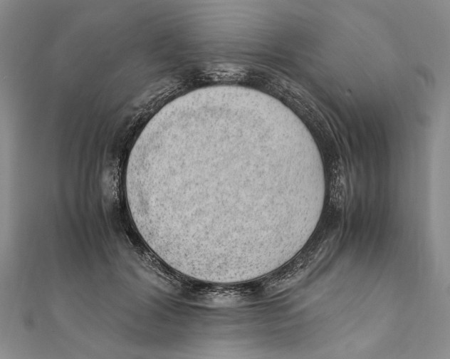 X0000111390604200908071257
