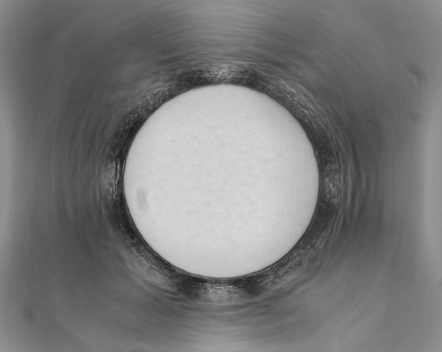 X0000111390605200908071257