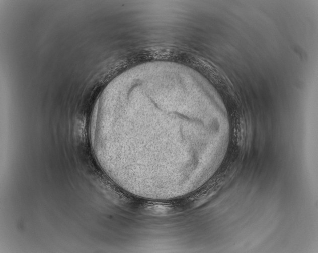 X0000111390610200908071257