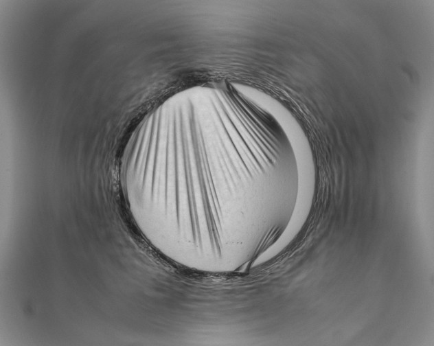 X0000111390613200908071257