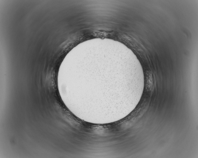 X0000111390616200908071257