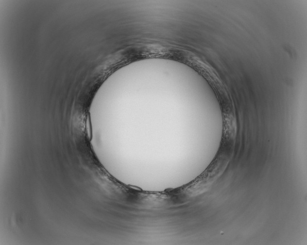X0000111390621200908071257