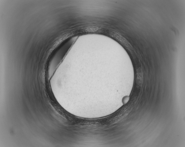 X0000111390626200908071256