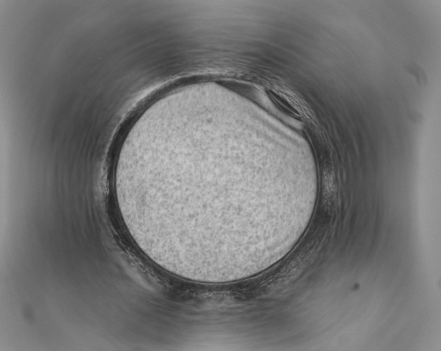 X0000111390628200908071256