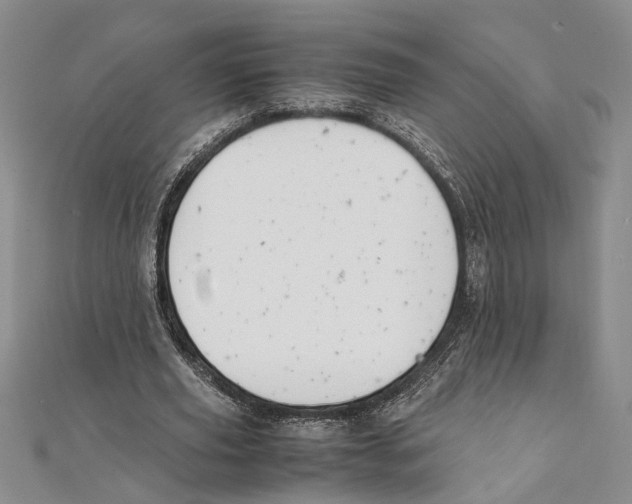 X0000111390629200908071256