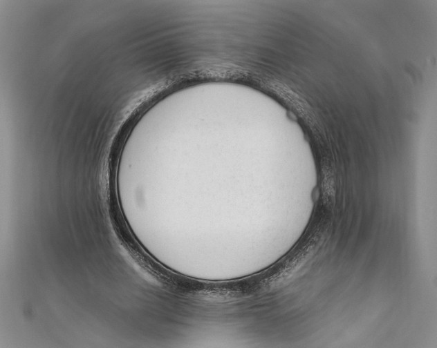 X0000111390630200908071256