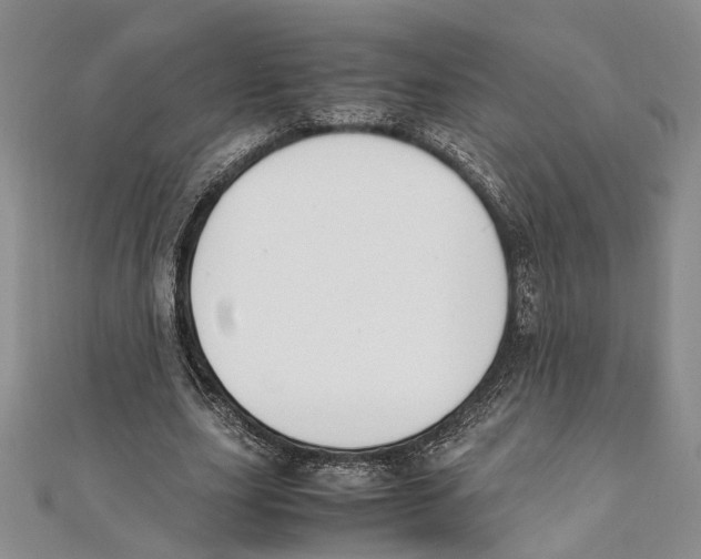 X0000111390631200908071256