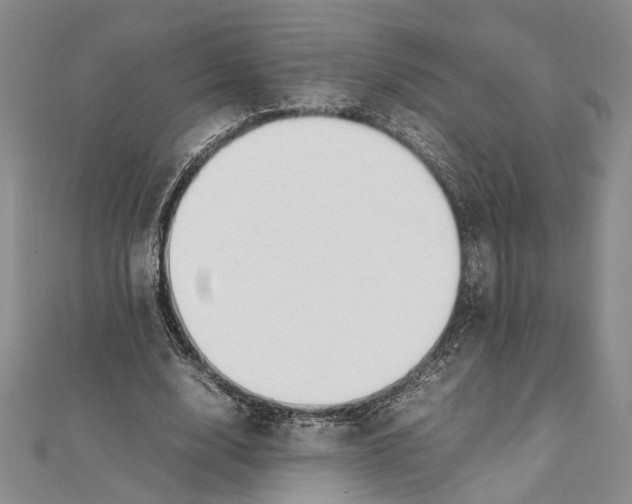 X0000111390632200908071256