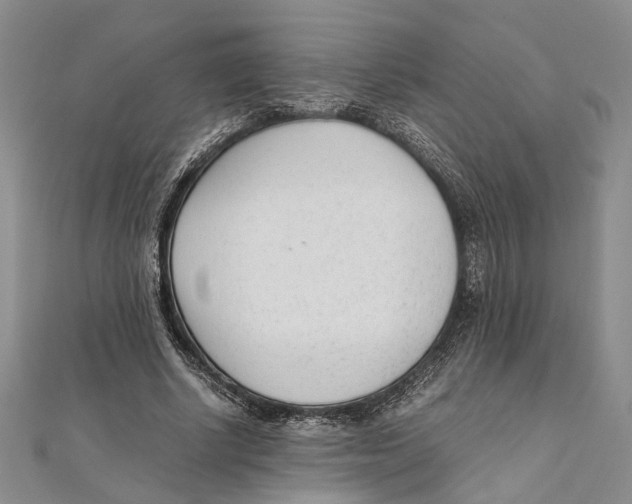 X0000111390634200908071256