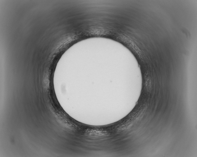 X0000111390635200908071256