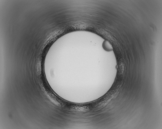 X0000111390638200908071256