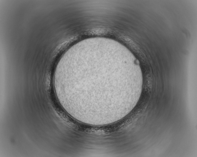 X0000111390640200908071256