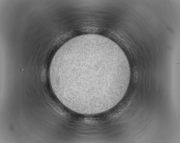 X0000111390641200908071256
